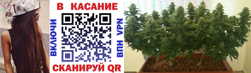 Купить Амфетамин Каннабис Галлюциногенные грибы Гашиш MDMA Меф мяу мяу Мытищи