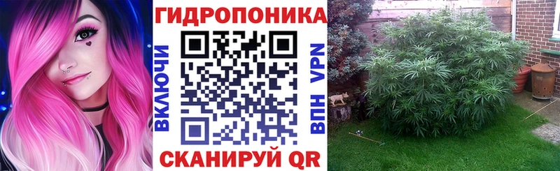 Бошки марихуана OG Kush  Купить закладки  Мытищи 